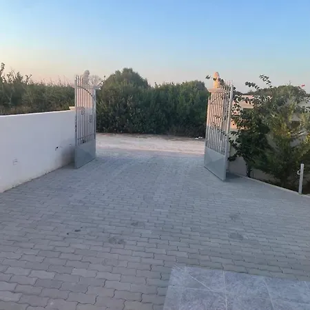Alba Punta Prosciutto